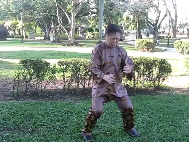 Sun Style Taijiquan